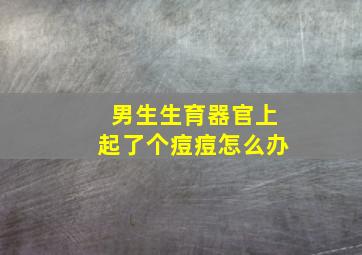 男生生育器官上起了个痘痘怎么办