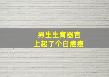 男生生育器官上起了个白痘痘