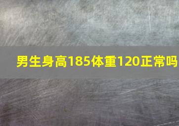 男生身高185体重120正常吗