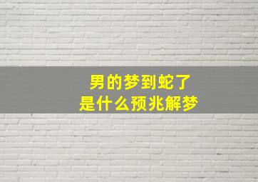 男的梦到蛇了是什么预兆解梦