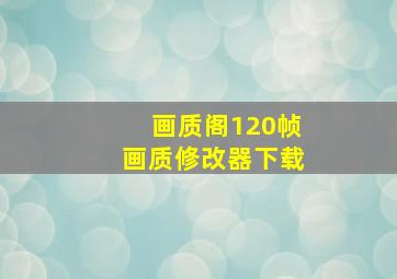 画质阁120帧画质修改器下载