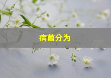 病菌分为