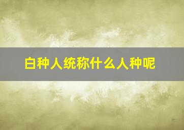 白种人统称什么人种呢