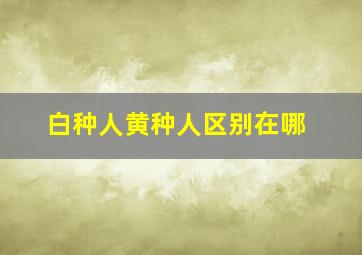 白种人黄种人区别在哪