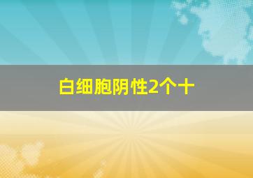 白细胞阴性2个十