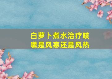 白萝卜煮水治疗咳嗽是风寒还是风热