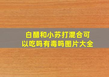 白醋和小苏打混合可以吃吗有毒吗图片大全