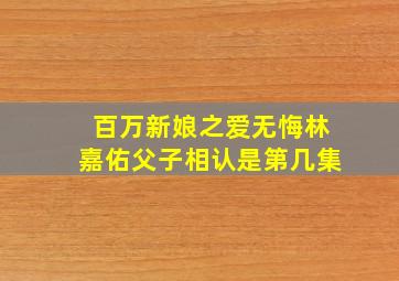 百万新娘之爱无悔林嘉佑父子相认是第几集