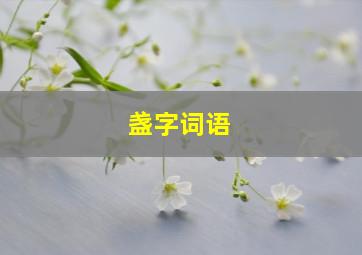 盏字词语