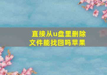 直接从u盘里删除文件能找回吗苹果