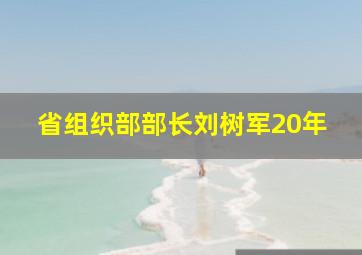 省组织部部长刘树军20年