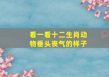 看一看十二生肖动物垂头丧气的样子