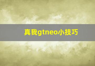 真我gtneo小技巧