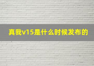 真我v15是什么时候发布的