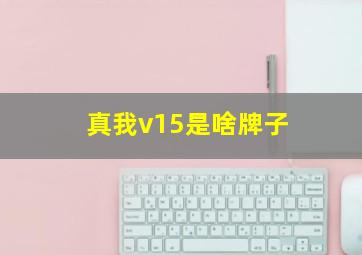 真我v15是啥牌子