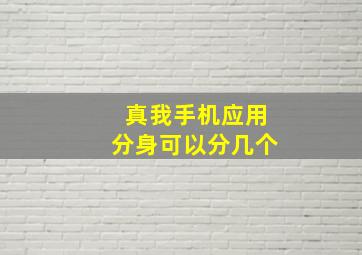 真我手机应用分身可以分几个