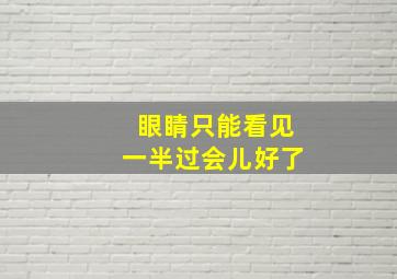 眼睛只能看见一半过会儿好了