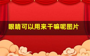 眼睛可以用来干嘛呢图片