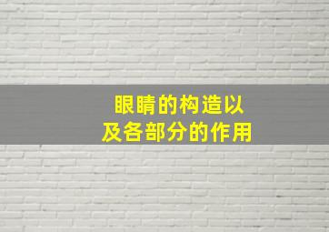 眼睛的构造以及各部分的作用