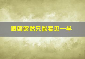 眼睛突然只能看见一半