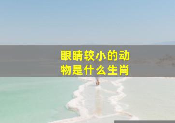 眼睛较小的动物是什么生肖