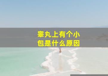 睾丸上有个小包是什么原因