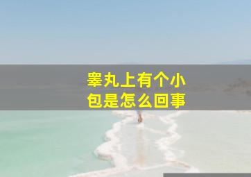 睾丸上有个小包是怎么回事