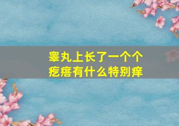 睾丸上长了一个个疙瘩有什么特别痒