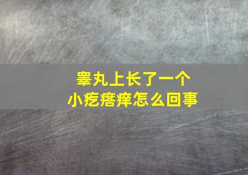 睾丸上长了一个小疙瘩痒怎么回事