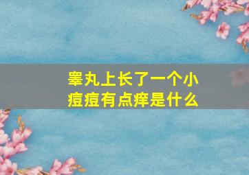 睾丸上长了一个小痘痘有点痒是什么