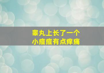 睾丸上长了一个小痘痘有点痒痛