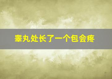 睾丸处长了一个包会疼