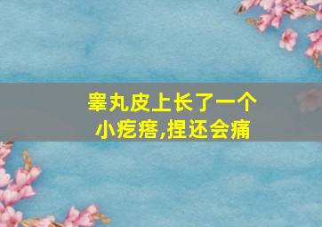 睾丸皮上长了一个小疙瘩,捏还会痛