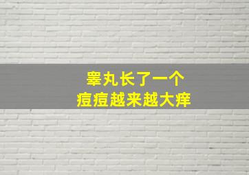 睾丸长了一个痘痘越来越大痒