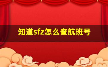 知道sfz怎么查航班号