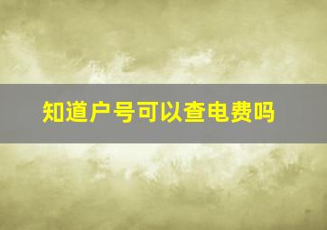 知道户号可以查电费吗