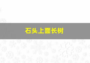 石头上面长树