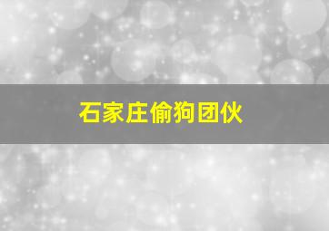 石家庄偷狗团伙