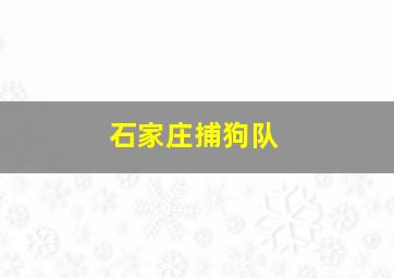 石家庄捕狗队