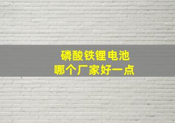 磷酸铁锂电池哪个厂家好一点