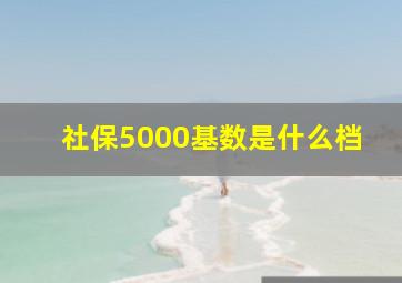 社保5000基数是什么档