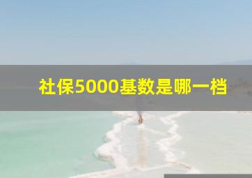 社保5000基数是哪一档