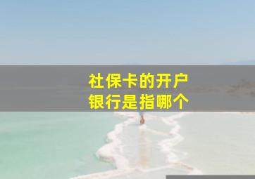 社保卡的开户银行是指哪个