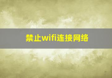 禁止wifi连接网络