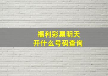 福利彩票明天开什么号码查询