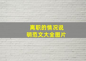 离职的情况说明范文大全图片