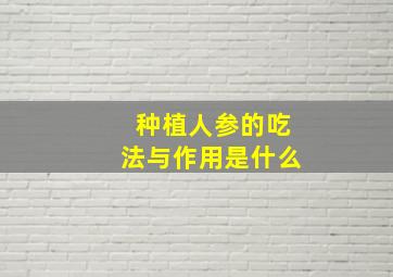 种植人参的吃法与作用是什么