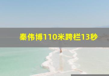 秦伟博110米跨栏13秒