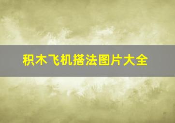 积木飞机搭法图片大全