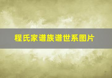 程氏家谱族谱世系图片